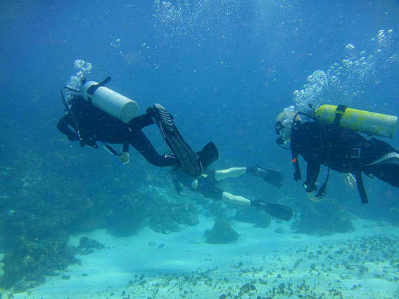 Baclar Chico Scuba, Tranquility Bay Resort