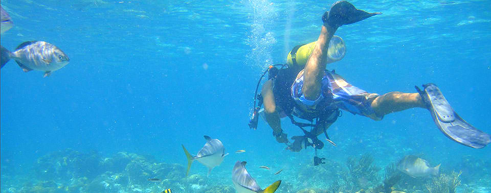 Diving at Tranquility Bay Resort, Ambergris Caye, Belize